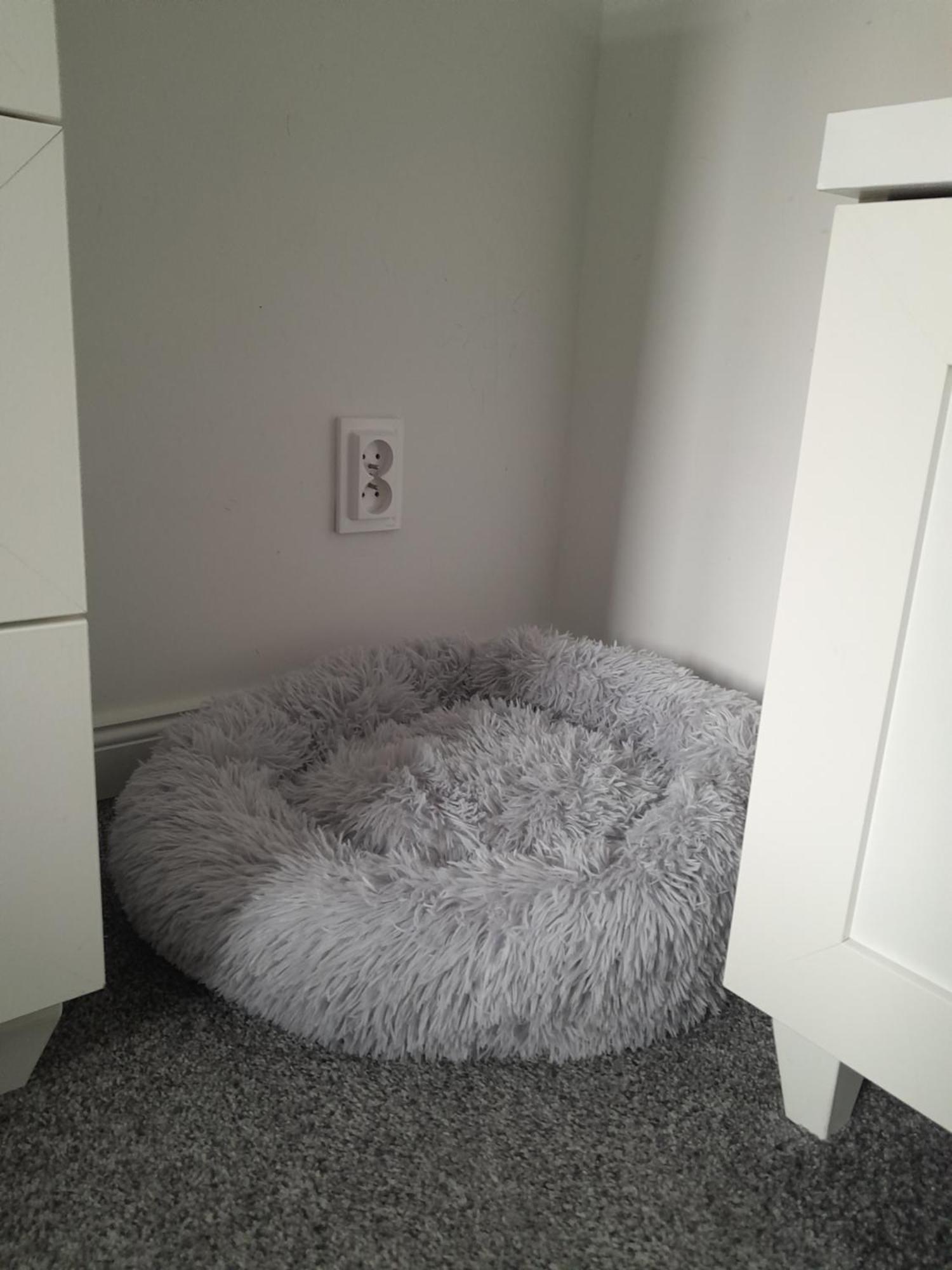 Apartament "Konie I Anioly" Boguszów-Gorce Exterior foto